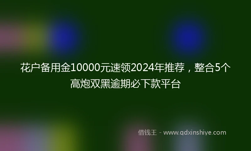 花户备用金10000元速领2024年推荐，整合5个高炮双黑逾期必下款平台