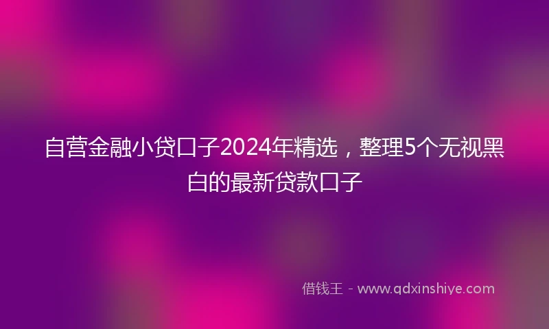 自营金融小贷口子2024年精选，整理5个无视黑白的最新贷款口子