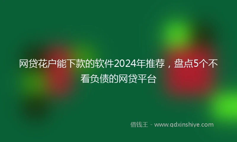 网贷花户能下款的软件2024年推荐，盘点5个不看负债的网贷平台