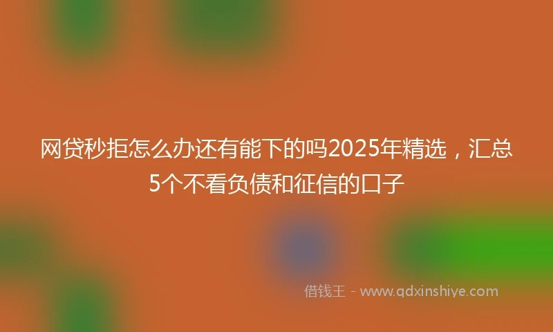 网贷秒拒怎么办还有能下的吗2025年精选，汇总5个不看负债和征信的口子