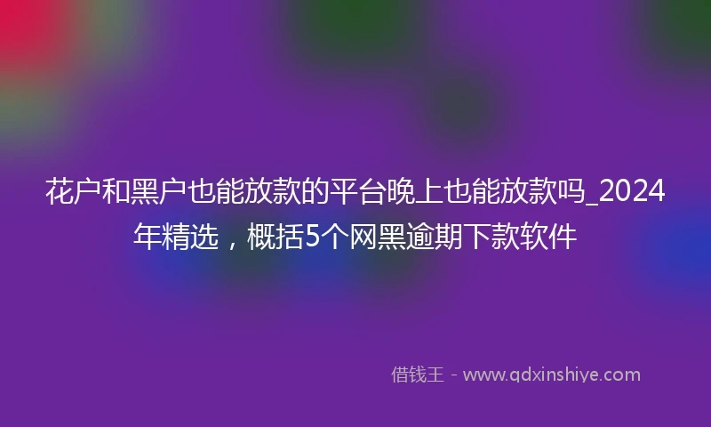花户和黑户也能放款的平台晚上也能放款吗_2024年精选，概括5个网黑逾期下款软件