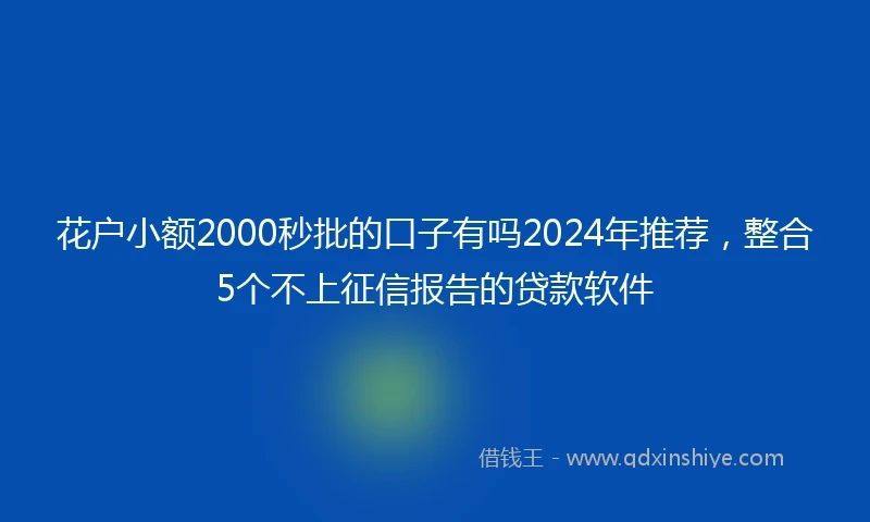 花户小额2000秒批的口子有吗2024年推荐，整合5个不上征信报告的贷款软件