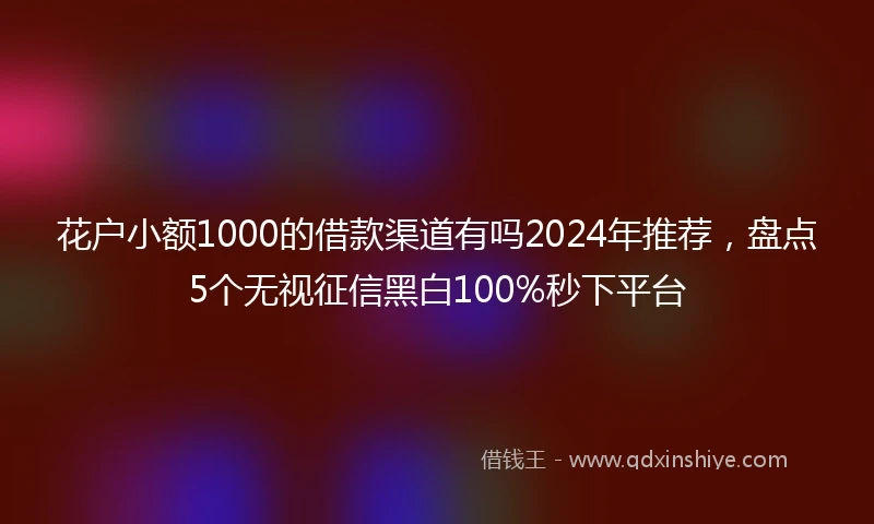 花户小额1000的借款渠道有吗2024年推荐,盘点5个无视征信黑白100%秒下平台