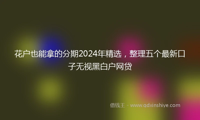 花户也能拿的分期2024年精选，整理五个最新口子无视黑白户网贷