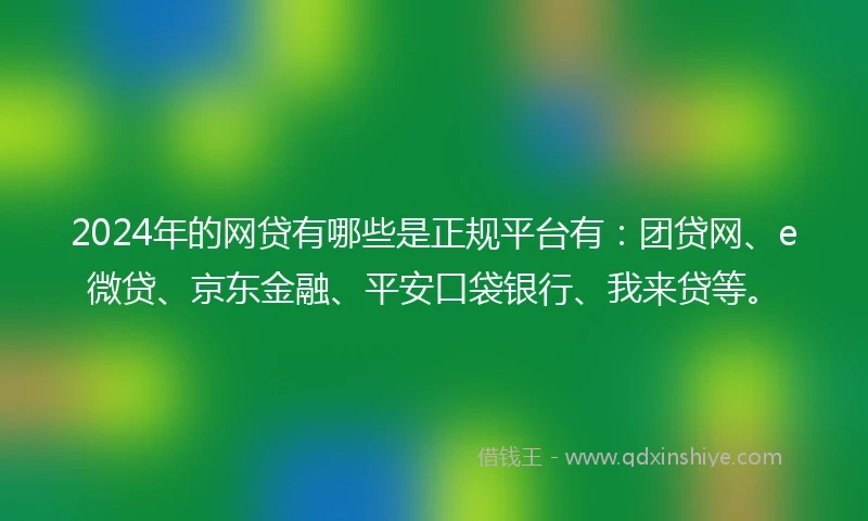 2024年的网贷有哪些是正规平台有：团贷网、e微贷、京东金融、平安口袋银行、我来贷等。