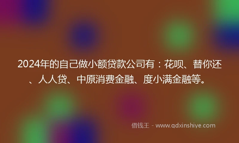 2024年的自己做小额贷款公司有：花呗、替你还、人人贷、中原消费金融、度小满金融等。