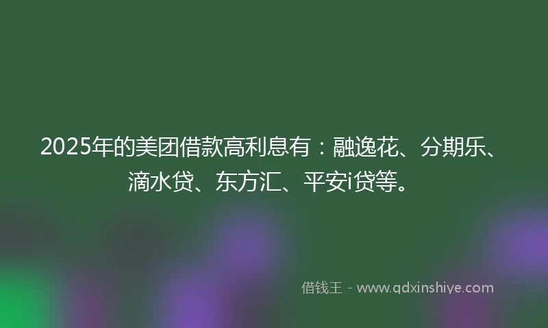 2025年的美团借款高利息有：融逸花、分期乐、滴水贷、东方汇、平安i贷等。