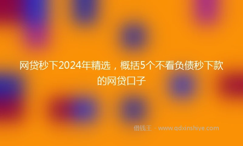 网贷秒下2024年精选，概括5个不看负债秒下款的网贷口子