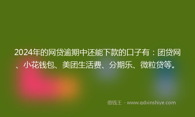 2024年的网贷逾期中还能下款的口子有:团贷网、小花钱包、美团生活费、分期乐、微粒贷等。
