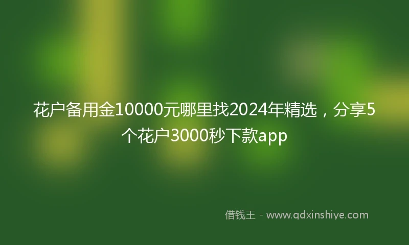 花户备用金10000元哪里找2024年精选，分享5个花户3000秒下款app