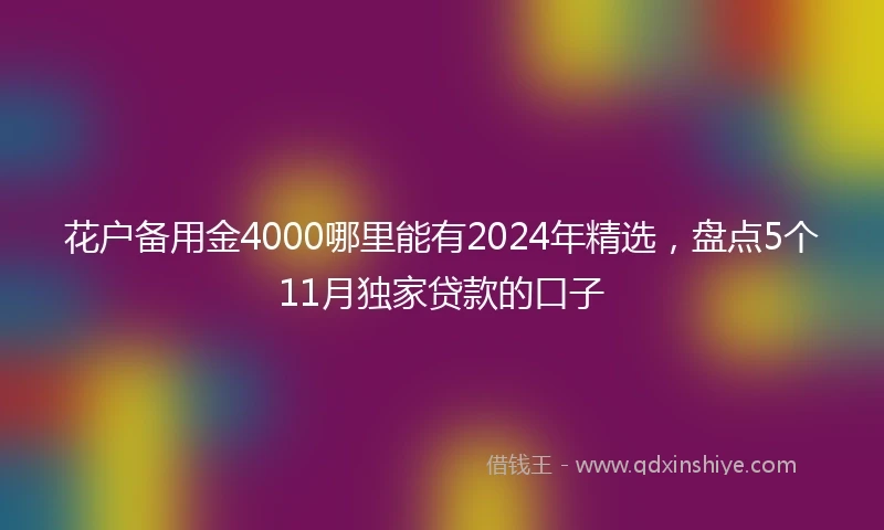 花户备用金4000哪里能有2024年精选，盘点5个11月独家贷款的口子
