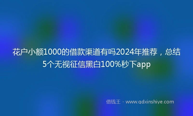花户小额1000的借款渠道有吗2024年推荐，总结5个无视征信黑白100%秒下app