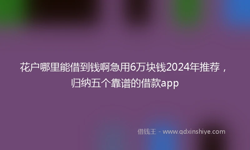 花户哪里能借到钱啊急用6万块钱2024年推荐，归纳五个靠谱的借款app