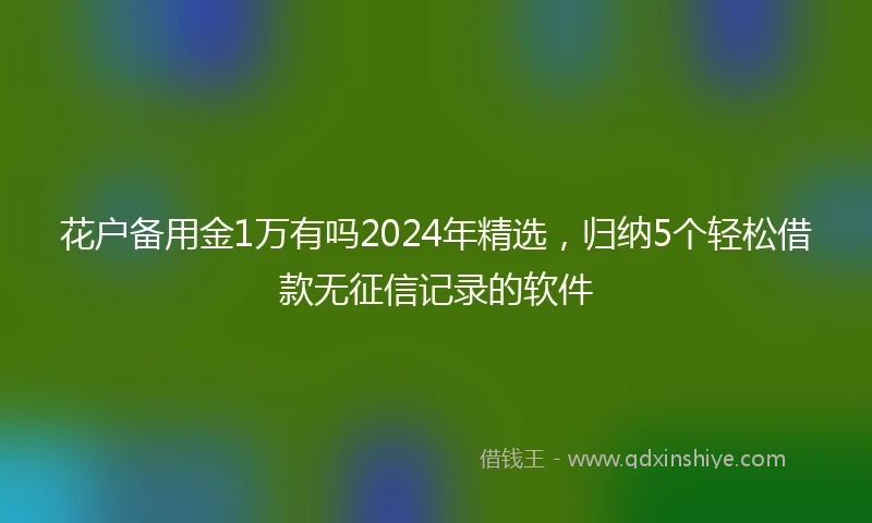花户备用金1万有吗2024年精选，归纳5个轻松借款无征信记录的软件