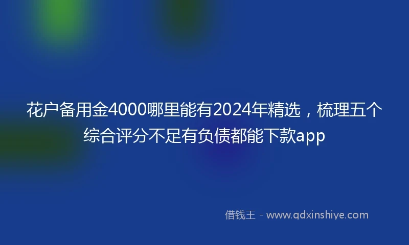 花户备用金4000哪里能有2024年精选，梳理五个综合评分不足有负债都能下款app