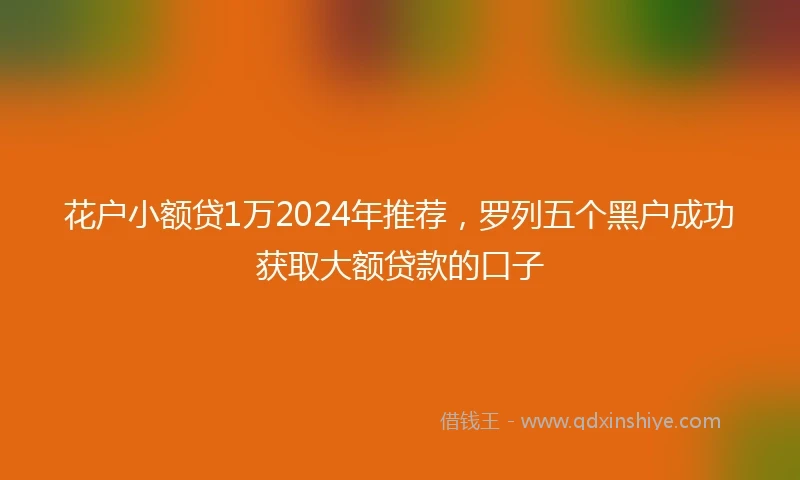 花户小额贷1万2024年推荐，罗列五个黑户成功获取大额贷款的口子
