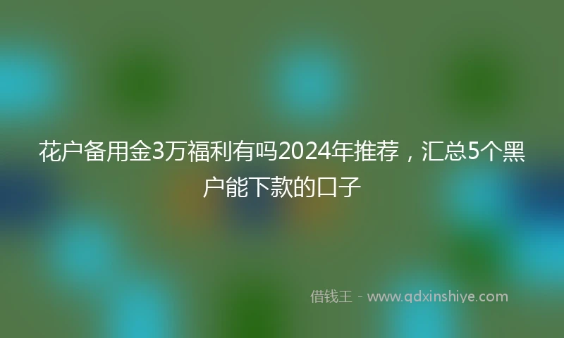 花户备用金3万福利有吗2024年推荐，汇总5个黑户能下款的口子