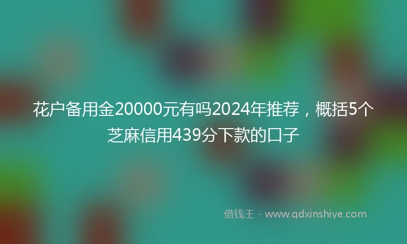 花户备用金20000元有吗2024年推荐，概括5个芝麻信用439分下款的口子