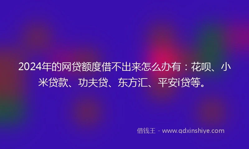 2024年的网贷额度借不出来怎么办有：花呗、小米贷款、功夫贷、东方汇、平安i贷等。