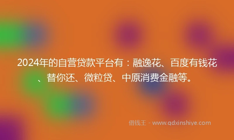 2024年的自营贷款平台有：融逸花、百度有钱花、替你还、微粒贷、中原消费金融等。