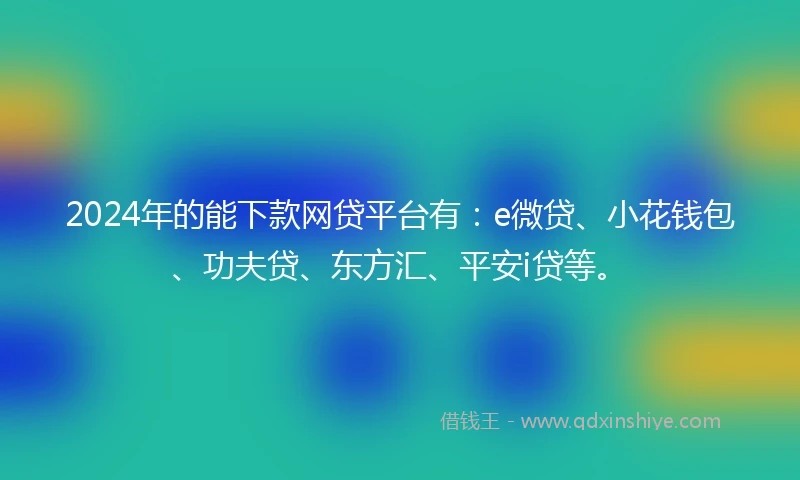 2024年的能下款网贷平台有：e微贷、小花钱包、功夫贷、东方汇、平安i贷等。