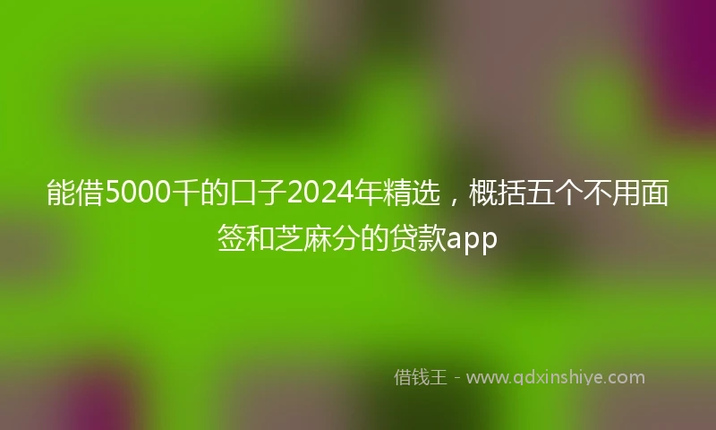 能借5000千的口子2024年精选，概括五个不用面签和芝麻分的贷款app