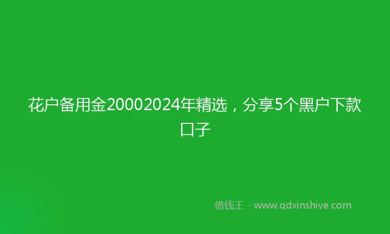 花户备用金20002024年精选，分享5个黑户下款口子