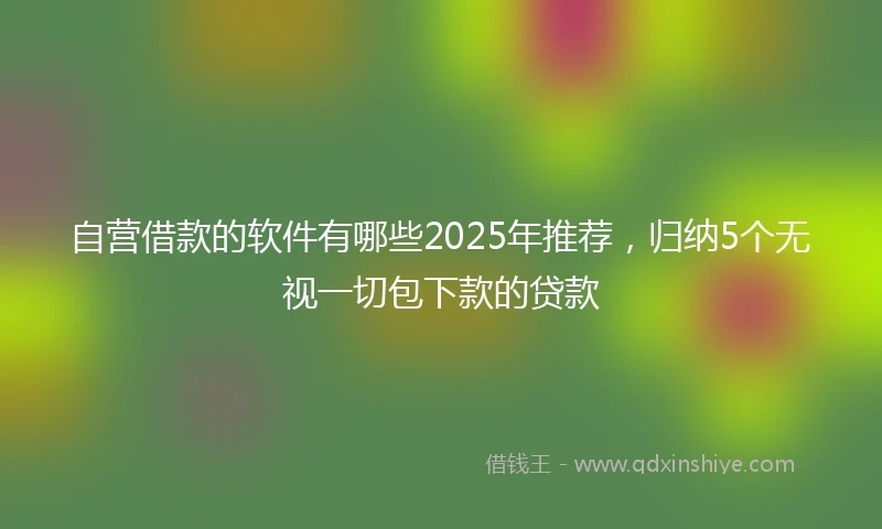 自营借款的软件有哪些2025年推荐，归纳5个无视一切包下款的贷款