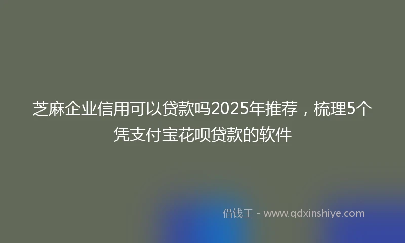 芝麻企业信用可以贷款吗2025年推荐，梳理5个凭支付宝花呗贷款的软件