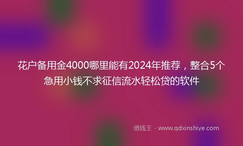 花户备用金4000哪里能有2024年推荐，整合5个急用小钱不求征信流水轻松贷的软件