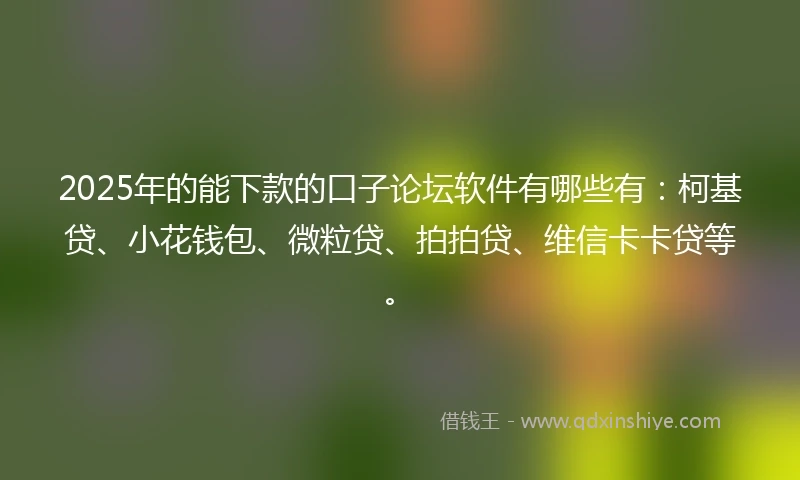 2025年的能下款的口子论坛软件有哪些有:柯基贷、小花钱包、微粒贷、拍拍贷、维信卡卡贷等。