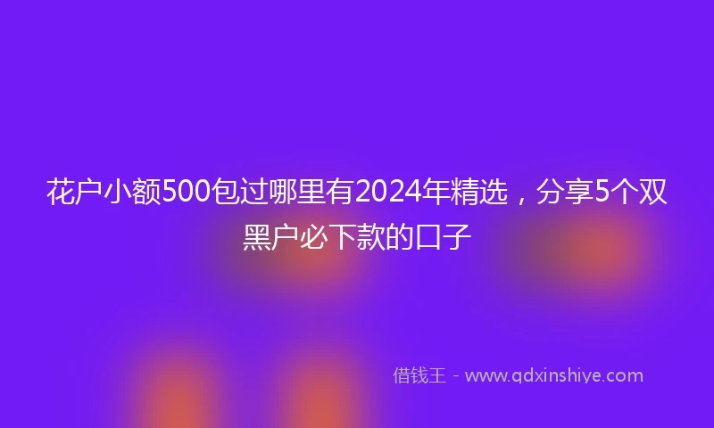 花户小额500包过哪里有2024年精选，分享5个双黑户必下款的口子
