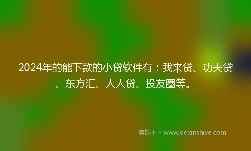 2024年的能下款的小贷软件有：我来贷、功夫贷、东方汇、人人贷、投友圈等。