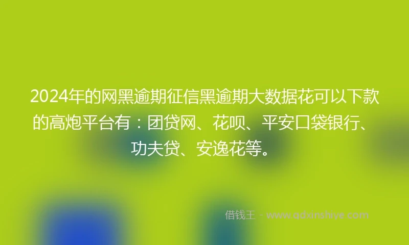 2024年的网黑逾期征信黑逾期大数据花可以下款的高炮平台有：团贷网、花呗、平安口袋银行、功夫贷、安逸花等。
