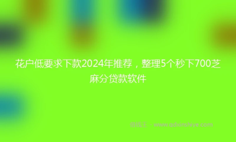 花户低要求下款2024年推荐，整理5个秒下700芝麻分贷款软件
