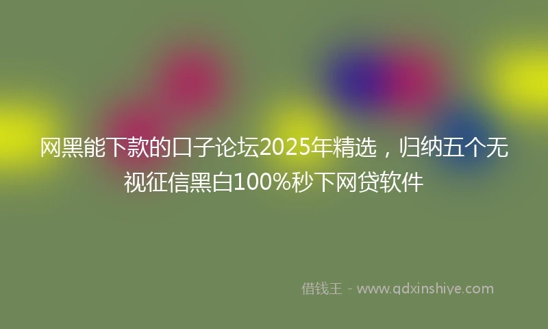 网黑能下款的口子论坛2025年精选，归纳五个无视征信黑白100%秒下网贷软件