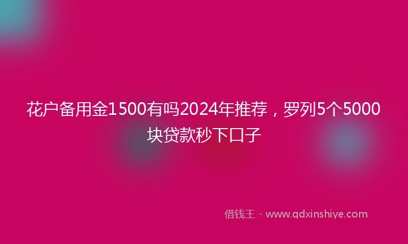 花户备用金1500有吗2024年推荐，罗列5个5000块贷款秒下口子