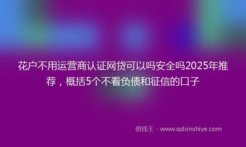 花户不用运营商认证网贷可以吗安全吗2025年推荐，概括5个不看负债和征信的口子