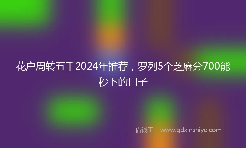 花户周转五千2024年推荐，罗列5个芝麻分700能秒下的口子