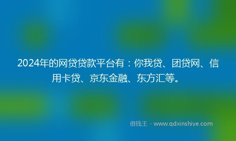 2024年的网贷贷款平台有：你我贷、团贷网、信用卡贷、京东金融、东方汇等。