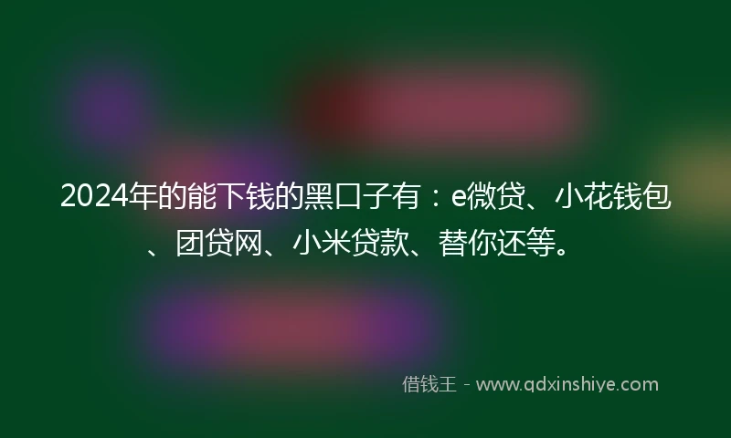 2024年的能下钱的黑口子有：e微贷、小花钱包、团贷网、小米贷款、替你还等。