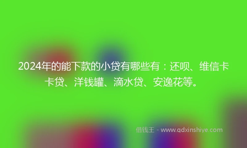 2024年的能下款的小贷有哪些有：还呗、维信卡卡贷、洋钱罐、滴水贷、安逸花等。