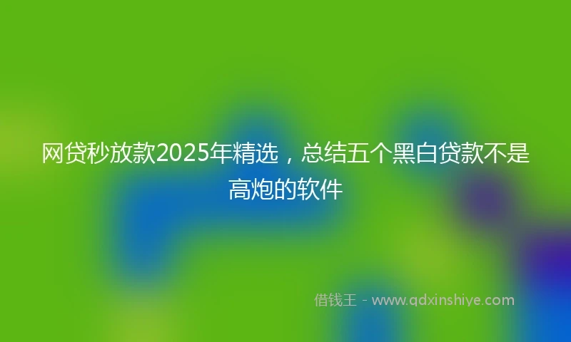 网贷秒放款2025年精选，总结五个黑白贷款不是高炮的软件