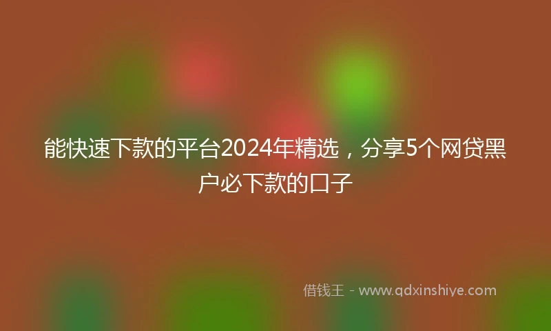能快速下款的平台2024年精选，分享5个网贷黑户必下款的口子