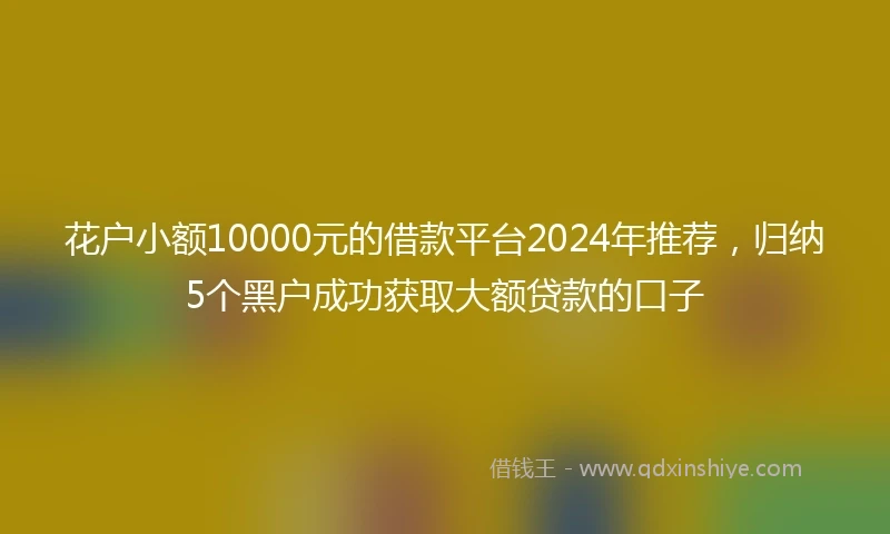 花户小额10000元的借款平台2024年推荐,归纳5个黑户成功获取大额贷款的口子