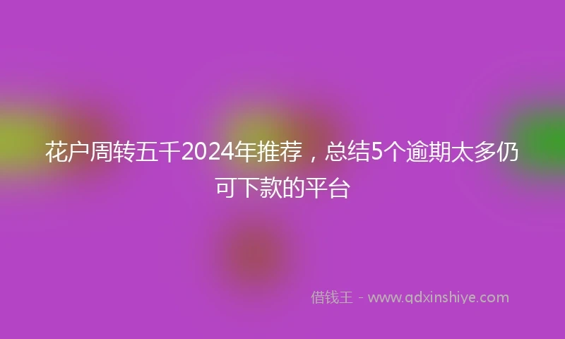 花户周转五千2024年推荐，总结5个逾期太多仍可下款的平台