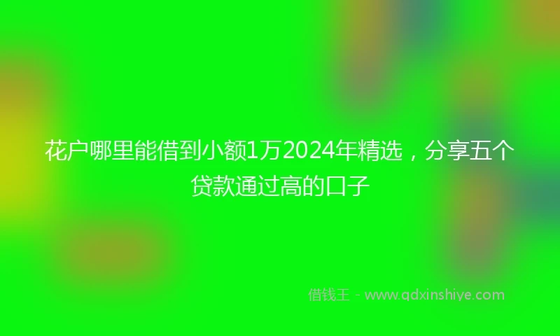 花户哪里能借到小额1万2024年精选，分享五个贷款通过高的口子