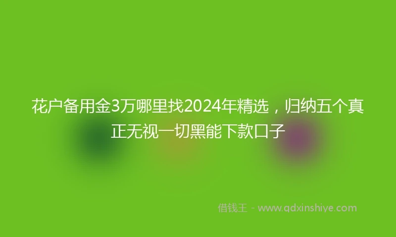 花户备用金3万哪里找2024年精选,归纳五个真正无视一切黑能下款口子