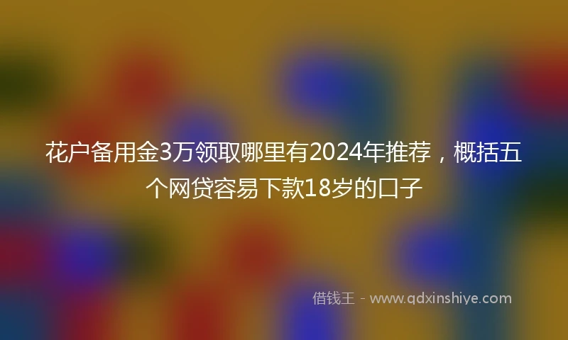 花户备用金3万领取哪里有2024年推荐，概括五个网贷容易下款18岁的口子