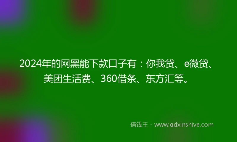 2024年的网黑能下款口子有：你我贷、e微贷、美团生活费、360借条、东方汇等。